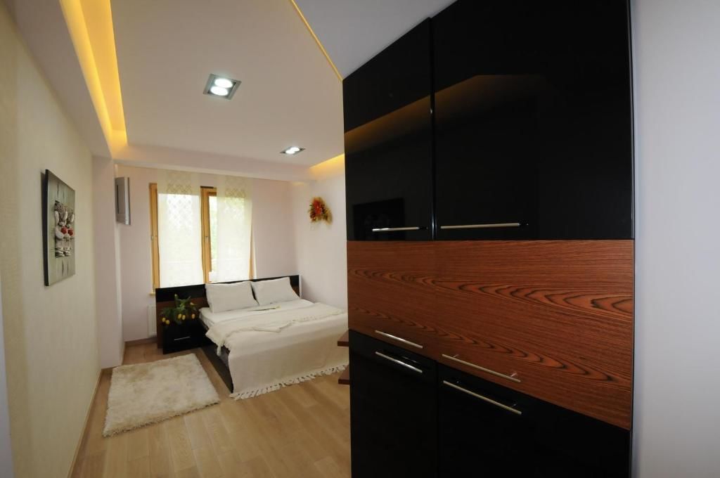 Апартаменты Apartament Silver Zakopane Закопане